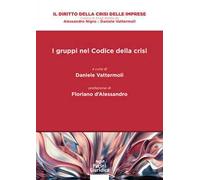 I gruppi nel codice della crisi