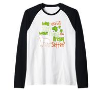 I Have An Irish Setter Dog Lucky Shamrock St Patricks Day Maglia con Maniche Raglan