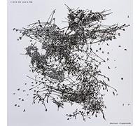 I Hold the Lion's Paw Abstract Playgrounds (Vinyl LP)