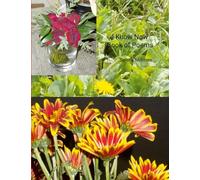 I Know Now Book of Poems