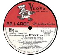 I Like The Warm Weather - 22 Large 12"