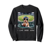 I Live Here Now Funny Pitbull Funny Baseball Field Meme Felpa