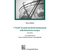 I «livelli» di tutela dei diritti fondamentali nella dimensione e