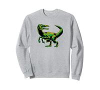 I Love Dinosaurs I Heart Dinosaurs Rettile Dinosauro amante Felpa