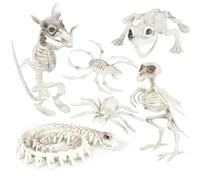 I LOVE FANCY DRESS Halloween Skeleton Animals - Confezione da 6 scheletri Uccello, ratto, rana, serpente, ragno e granchio Set - Puntelli scheletrici spaventosi raccapriccianti Halloween horror party