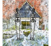 I LOVE FANCY DRESS Set di decorazioni per Halloween, 750 m², ragnatela gigante con 50 ragni raccapriccianti e 2 scheletri argentati da 24 pezzi, per esterni e interni, kit di decorazione spettrale per