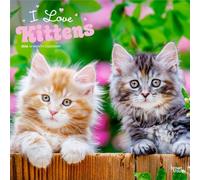 I Love Kittens - Ich liebe Katzenbabys 2026 - 16-Monatskalender: Original BrownTrout-Kalender [Mehrsprachig] [Kalender]