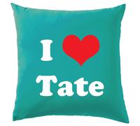 I Love Tate - Cuscino - Love Tour Avido Exes Mcrae Testo Tour Concerto