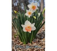 I Love You Mom: A Heartfelt Notebook for Writing, Memories, and Thanks: A5 (5.5" x 8.5") 192 Lined Pages, Hardcover Notebook- Perfect Mother’s Day Gift with Heartfelt Message on Every Page