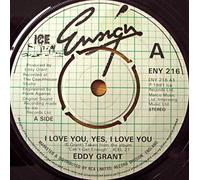 I LOVE YOU YES I LOVE YOU 7" (VINYL 45) UK ENSIGN 1981