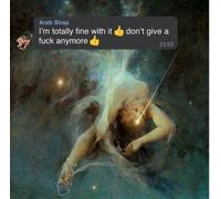 Audio Cd Arab Strap - I'm Totally Fine With It Don't Give A Fuck Anymore