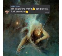 I M Totally Fine With It Don T Give A Fuck Anymore (1 Vinile) -... (Vinile)