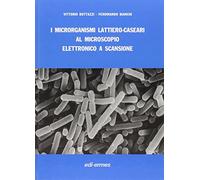 I microrganismi lattiero-caseari al microscopio elettronico a scansione