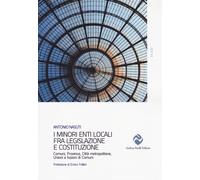 I minori enti locali fra legislazione e Costituzione. Comuni, Province, Ci...