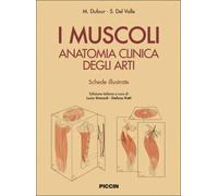 I muscoli. Anatomia clinica degli arti. Shede illustrate