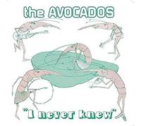 i never knew