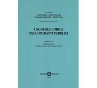 I nodi del codice dei contratti pubblici