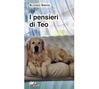 I pensieri di Teo