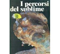 I percorsi del sublime. Catalogo della mostra (Palermo, 1998). Ediz. illustrata