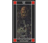 I pittori cubisti. Meditazioni estetiche