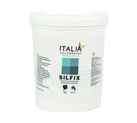 Italia colorpaint I Pre Trattamenti Silfix Primer Fissativo Traspirante Consolidante Silossanico ad Acqua Intonaci Friabili Ammalorati (Litri 1, Trasparente)