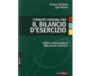 I principi contabili per il bilancio d'esercizio. Analisi e interpretazione delle norme civilistiche