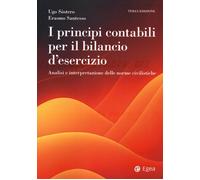 I principi contabili per il bilancio di esercizio. Analisi e interpretazione del