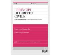 I principi del diritto civile. Gli strumenti essenziali di ogni ragionamento giuridico. Con aggiornamento online
