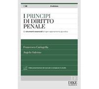 I principi del diritto penale. Gli strumenti essenziali di ogni ragionamento giuridico. Con aggiornamento online