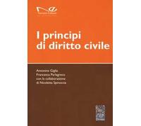 I principi di diritto civile