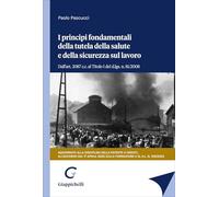 I principi fondamentali della tutela della salute e della sicurezza sul lavoro. Dall'art. 2087 c.c. al Titolo I del d.lgs. n. 81/2008. Aggiornato alla disciplina della patente a crediti e all'acco...