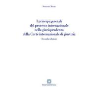 I principi generali del processo internazionale nella giurisprudenza della corte internazionale di giustizia