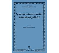 I principi nel nuovo codice dei contratti pubblici