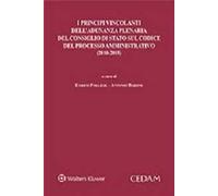 I principi vincolanti dell'adunanza plenaria del Consiglio di Stato sul codice del processo amministrativo (2010-2015)