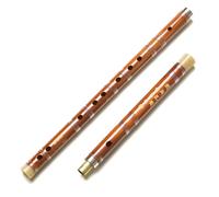 I principianti del flauto traverso di flauto di bambù si esercitano a suonare il flauto di bambù(C)