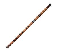 I principianti del flauto traverso di flauto di bambù si esercitano a suonare strumenti musicali(E key)