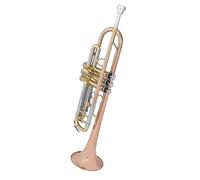I Principianti Della Melodia B Di Rame Fosforoso Dello Strumento Musicale A Tromba Svolgono Un Esame Generale Principianti Ottone Tromba