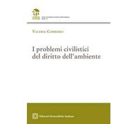 I problemi civilistici del diritto dell'ambiente