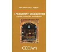 I procedimenti amministrativi. La disciplina attuale ed i suoi aspetti problematici