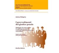 I Provvedimenti Del Giudice Penale.