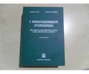 I provvedimenti d'urgenza nel diritto processuale civile e nel diritto del lavoro
