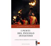I punti del piccolo intestino