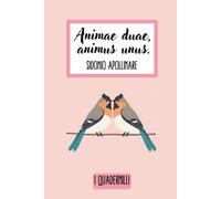 I Quadernilli: quaderno a righe con citazione letteraria da Sidonio Apollinare