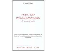 I quattro incommensurabili. Un cuore senza confini [Perfect Paperback] [Jun 09,