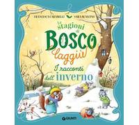 I racconti dell'inverno. Le stagioni di Bosco Laggiù. Ediz. a colori