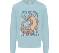 I Raise Piccolo Dinosauri Lucertole Chameleon Uomo Felpa Maglione