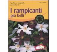 I rampicanti più belli. Spalliere, pergolati, pareti fiorite. Ediz. illustrata