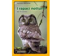 I rapaci notturni del Triveneto