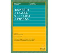 I rapporti di lavoro nelle crisi di impresa