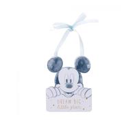 I regali Disney sono una bella aggiunta alla placca da appendere con una piccola